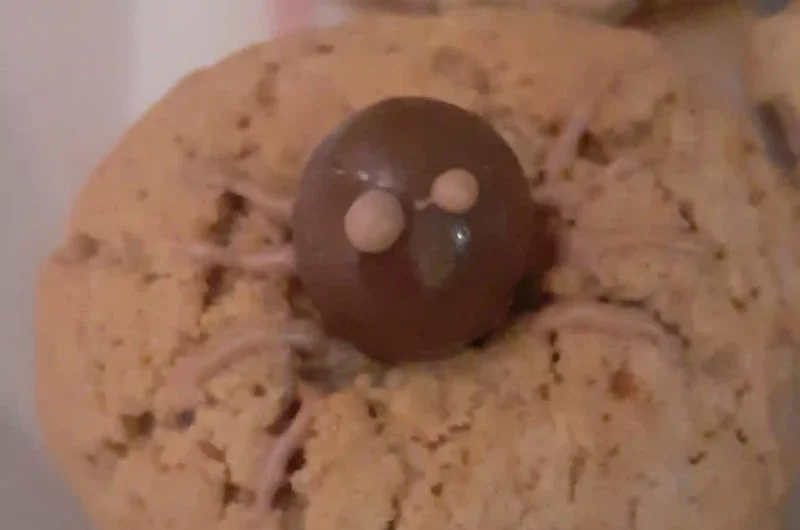 Bolachas - aranha de Halloween